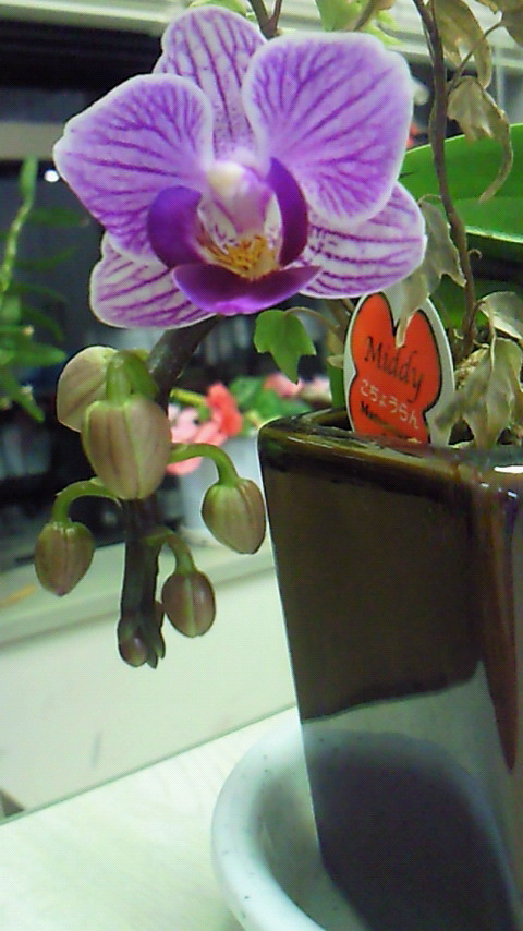 blog20110301.jpg