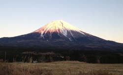 私といえば、serendipity