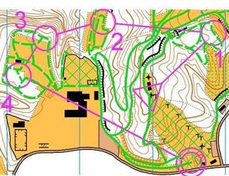スキーオリエンテーリングで利用する地
図