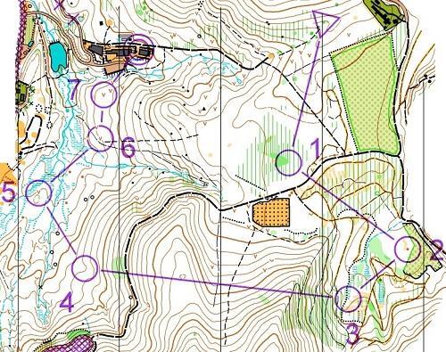 スキーオリエンテーリングで使用される地図