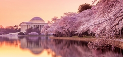 日本との深い交流も！ 春は桜が咲き乱れるアメリカの首都・ワシントンＤ.Ｃ.