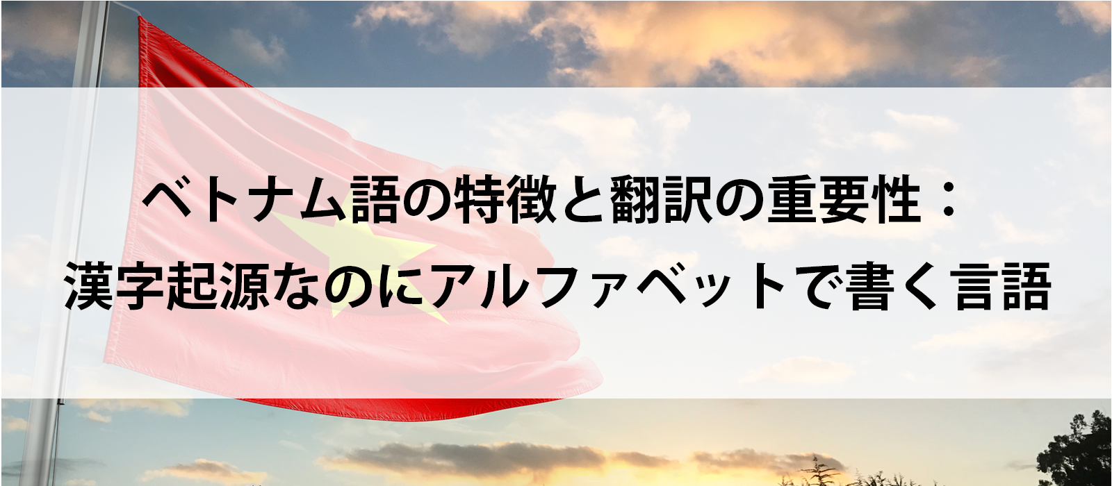 ベトナム語の特徴と翻訳の重要性：漢字起源なのにアルファベットで書く言語